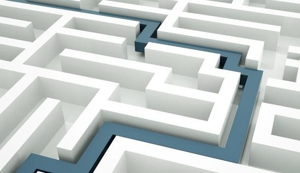 A roadmap for your business.